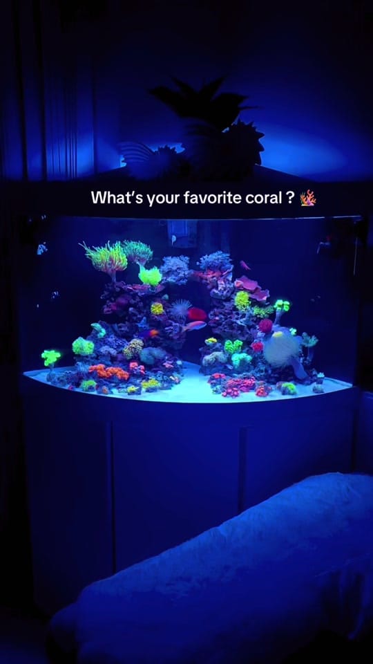 Post 5 by You_Can_Do_It_Yourself on TikTok (video)