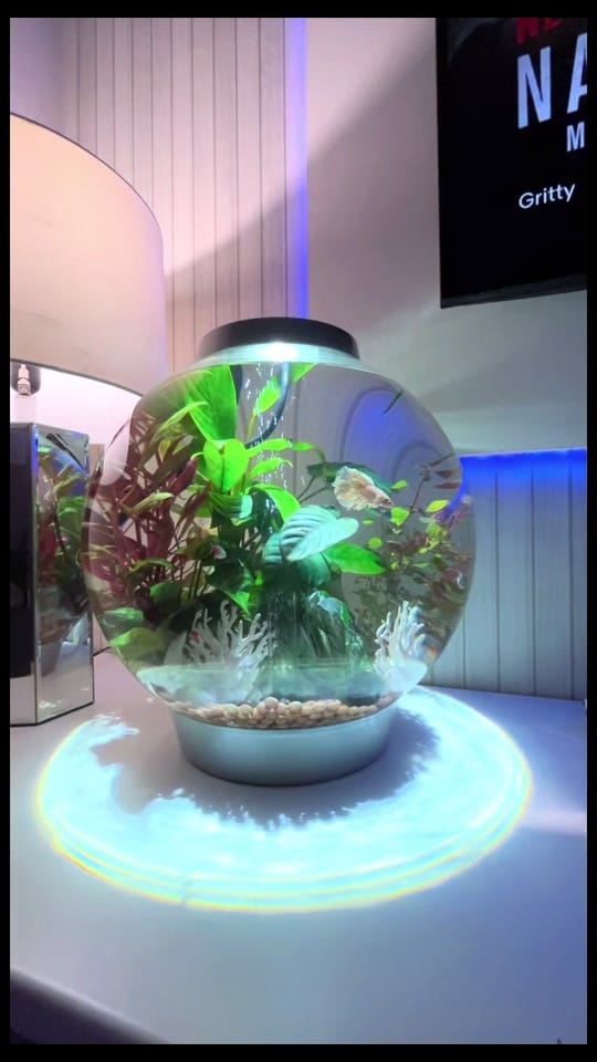 Post 4 by You_Can_Do_It_Yourself on TikTok (video)