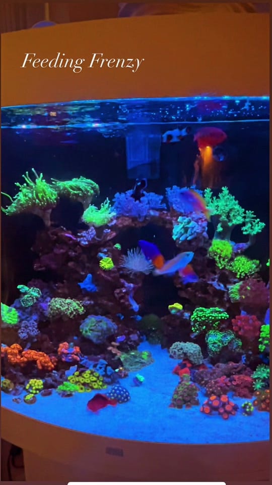 Post 3 by You_Can_Do_It_Yourself on TikTok (video)