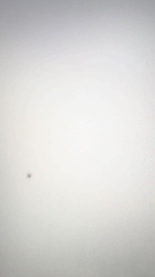 Post 2 by Wyl Parkes on TikTok (video)