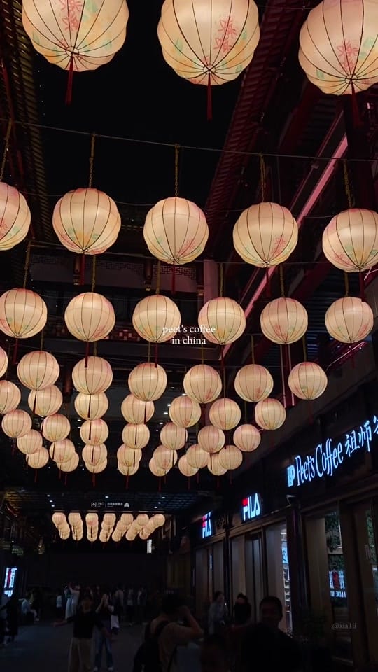 Post 5 by xia on TikTok (video)