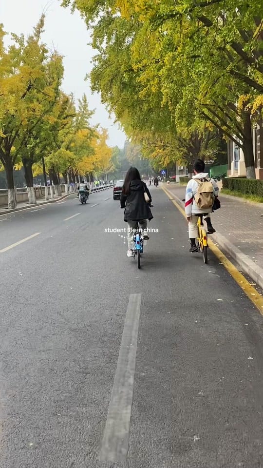 Post 8 by xia on TikTok (video)