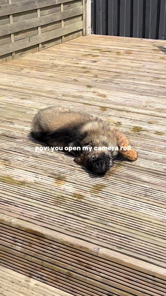 Post 4 by livvwalker on TikTok (video)