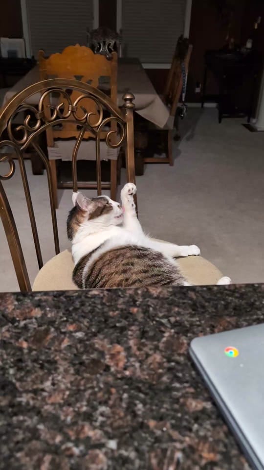 Post 7 by Chas Hundley on TikTok (video)