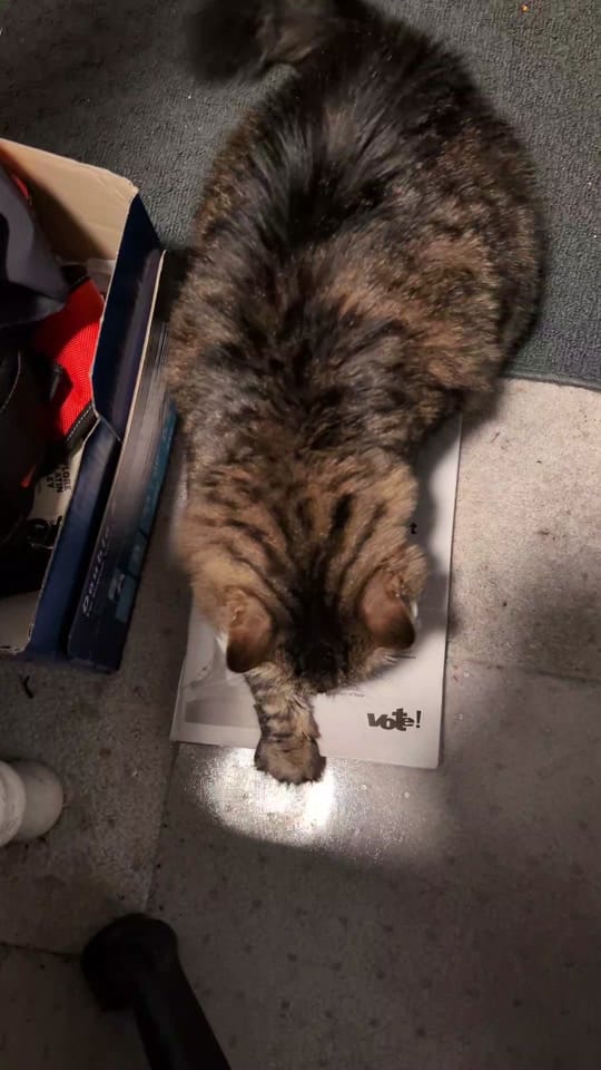 Post 4 by Chas Hundley on TikTok (video)