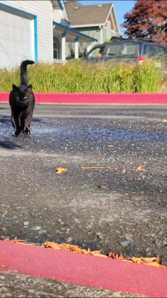 Post 5 by Chas Hundley on TikTok (video)