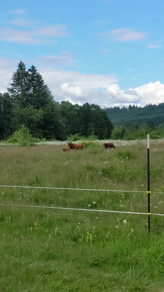 Post 9 by Chas Hundley on TikTok (video)
