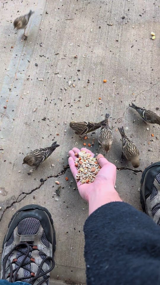 Post 1 by Chas Hundley on TikTok (video)