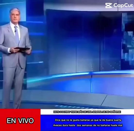 Post 2 by gabrielaberlingeri.world on TikTok (video)