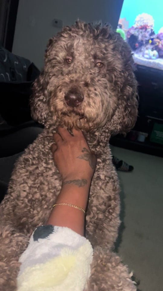 Post 9 by Sharm💕 on TikTok (video)