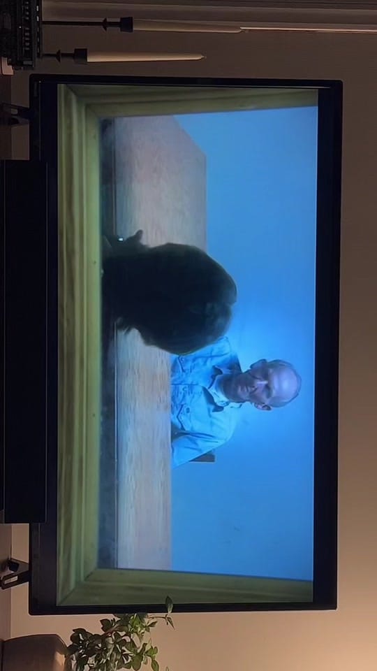 Post 9 by Andy M Hale on TikTok (video)