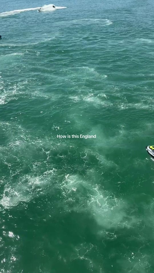 Post 6 by Felicity Irvine on TikTok (video)