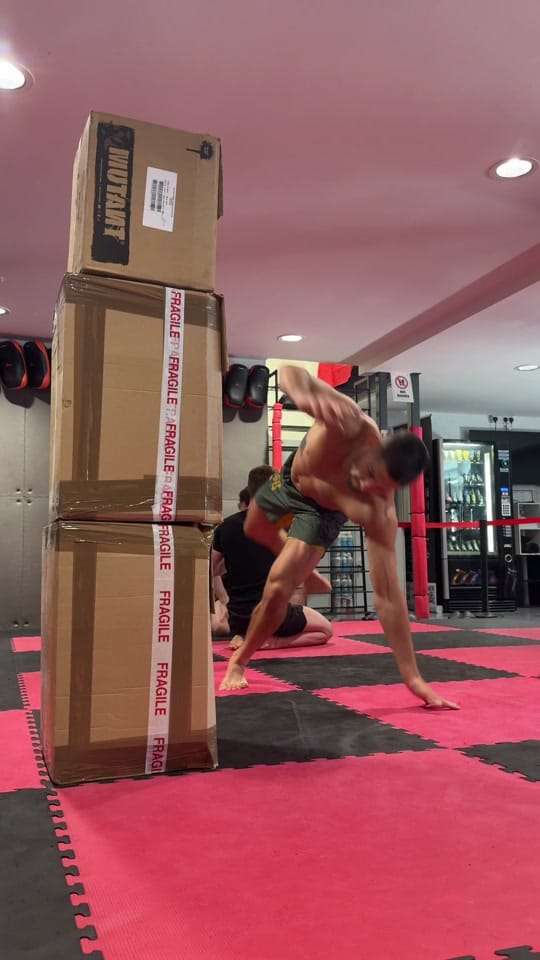 Post 4 by Dust - DNA MMA on TikTok (video)