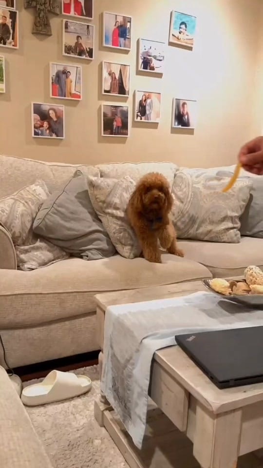 Post 6 by Nutellateddy on TikTok (video)