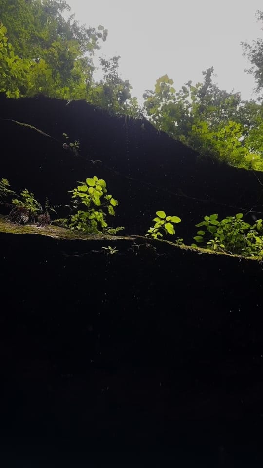Post 3 by Ctaylor on TikTok (video)