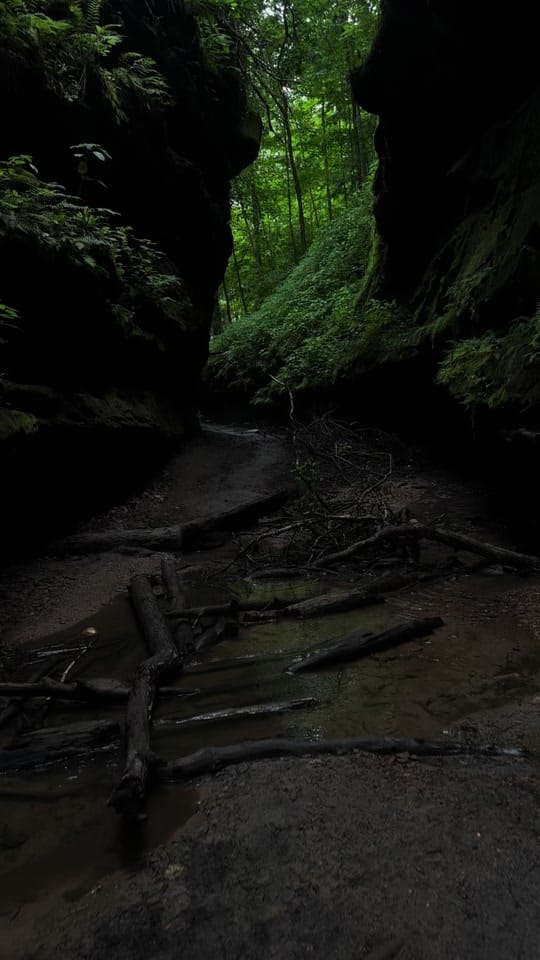 Post 4 by Ctaylor on TikTok (video)