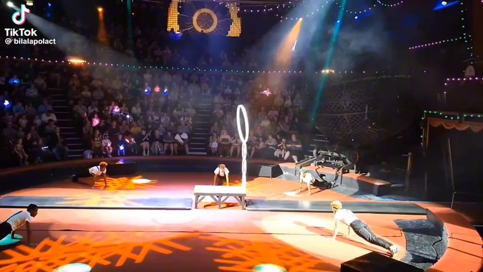 Post 10 by Tsegaye circus on TikTok (video)