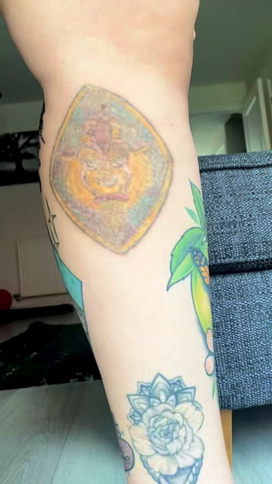 Post 5 by Lily J Tattoo Artist on TikTok (video)