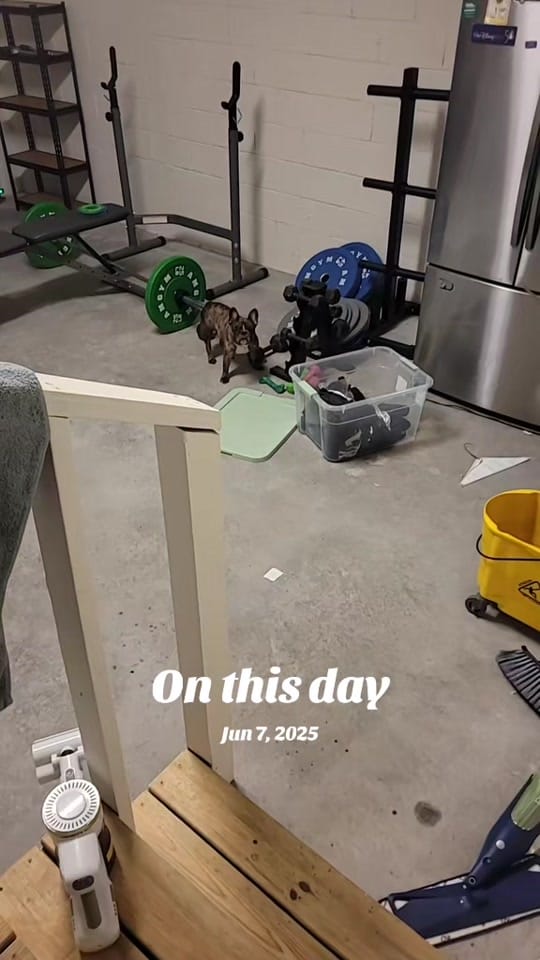 Post 5 by big_willi95 on TikTok (video)