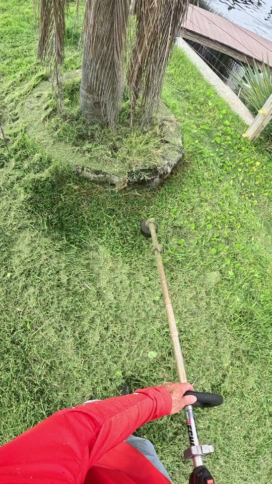 Post 5 by Conner on TikTok (video)