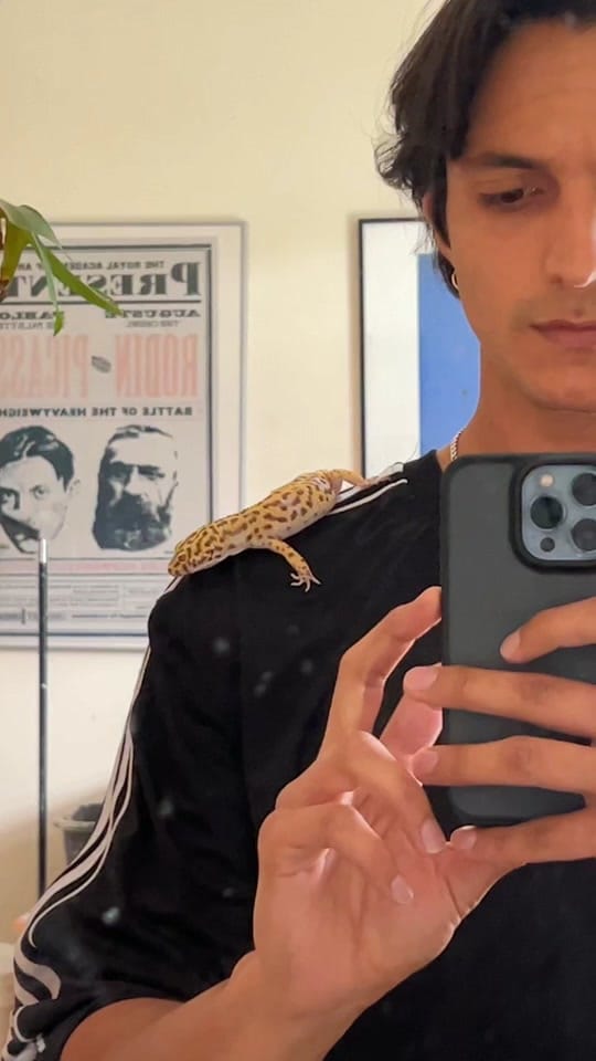 Post 8 by StögerHaus on TikTok (video)