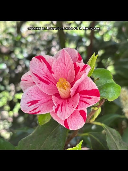 Post 10 by Kai the Catfish on TikTok (video)
