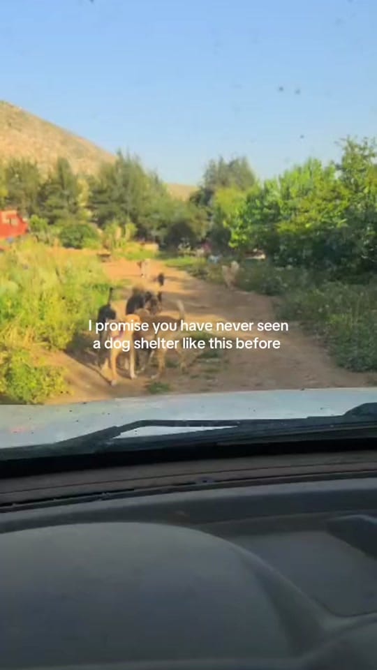 Post 6 by beirut to birmingham on TikTok (video)