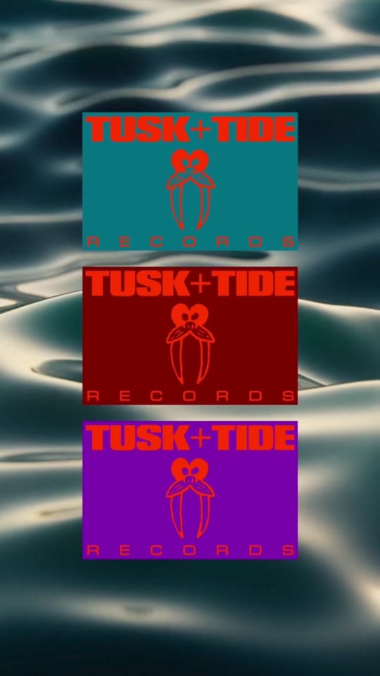 Post 3 by Yee on TikTok (video)