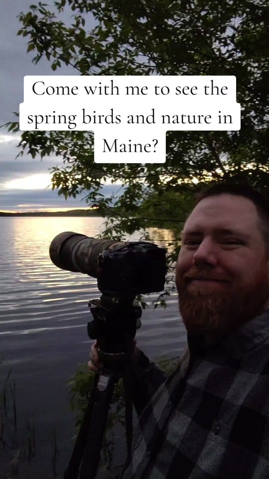 Post 5 by TechieWoodsmanPhoto on TikTok (video)