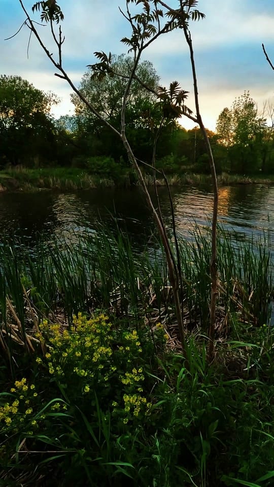 Post 4 by TechieWoodsmanPhoto on TikTok (video)