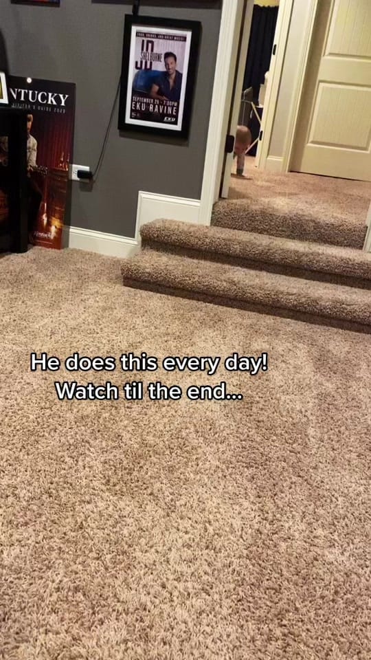 Post 10 by jdshelburne on TikTok (video)