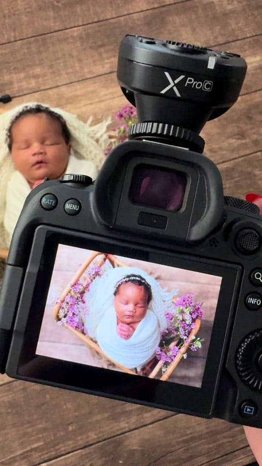 Post 3 by Houston newborn photographer on TikTok (video)