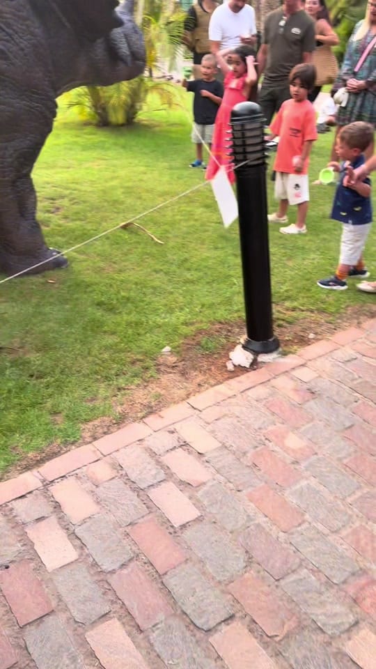 Post 7 by It’s by Lauren on TikTok (video)