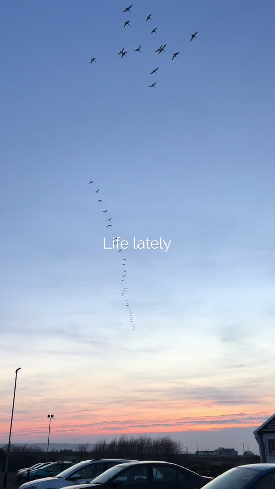 Post 9 by Art by Mooney on TikTok (video)
