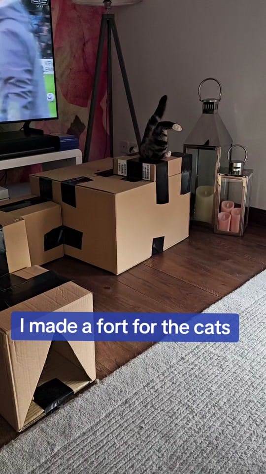 Post 10 by Billy Morris DJ on TikTok (video)