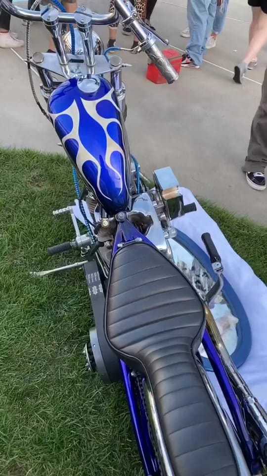 Post 7 by Chicken Rick on TikTok (video)