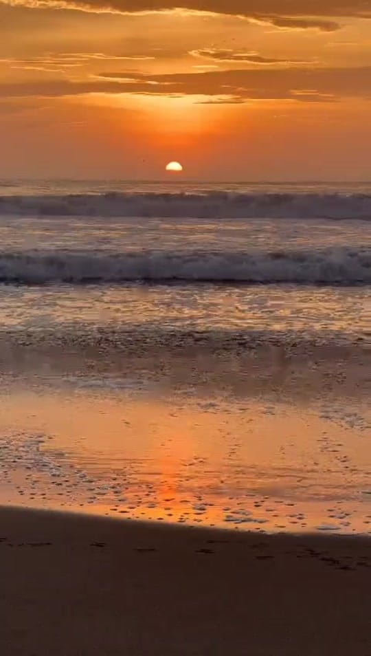 Post 3 by Jose Rodriguez64643 omar on TikTok (video)