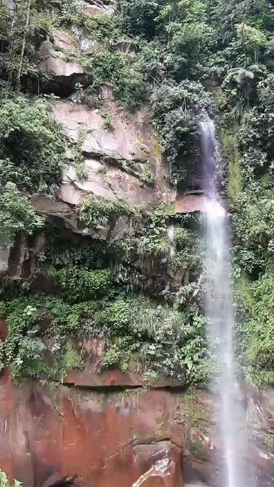 Post 5 by Jose Rodriguez64643 omar on TikTok (video)