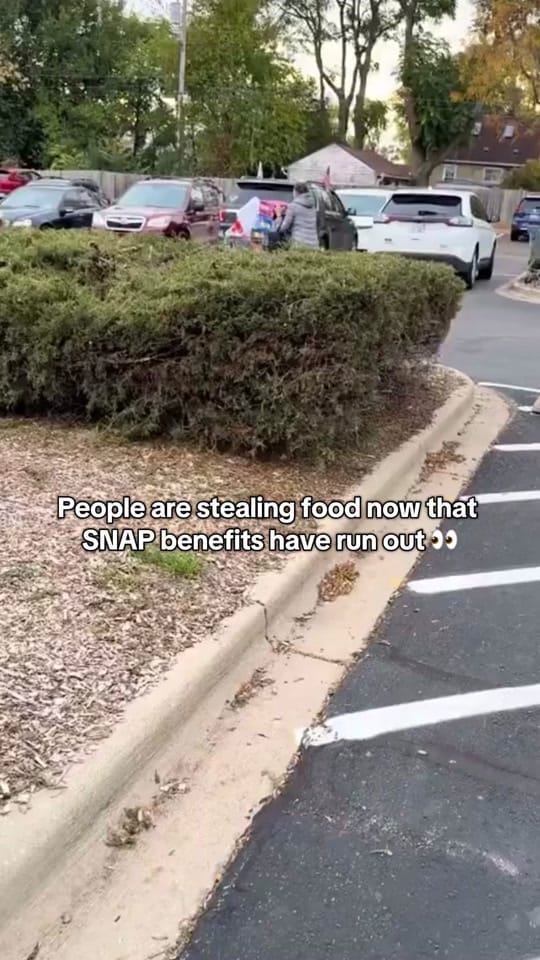 Post 5 by oksmitty23 on TikTok (video)
