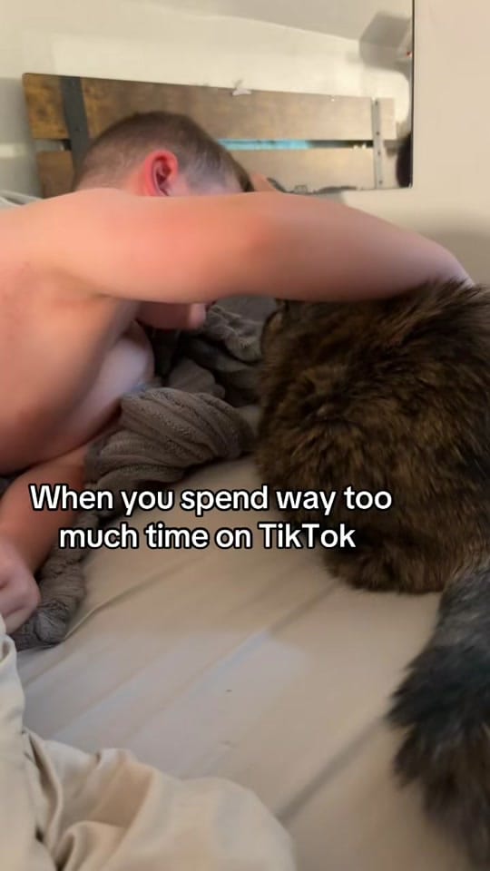 Post 2 by nikki 🖤 on TikTok (video)