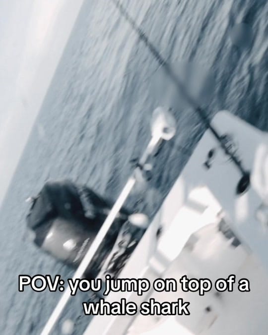 Post 10 by Mac Hoover on TikTok (video)