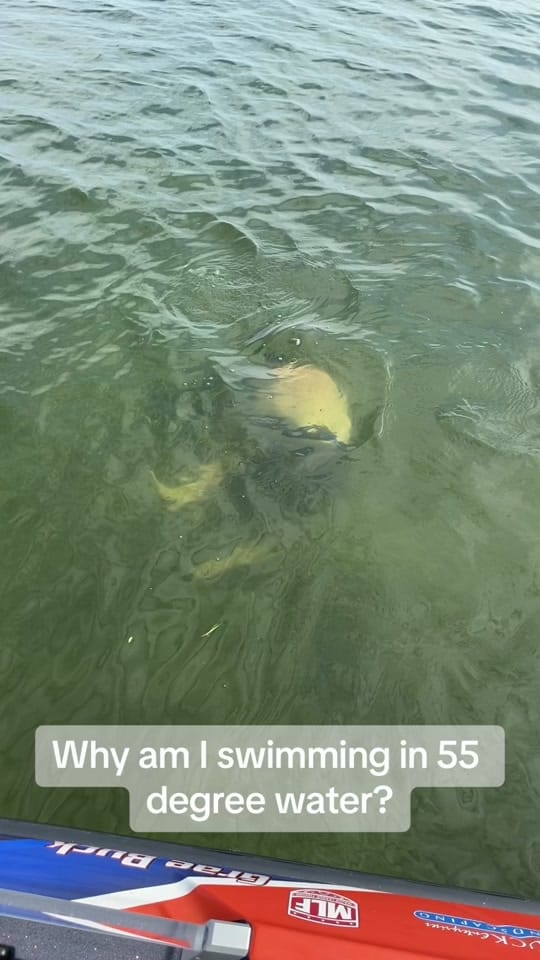 Post 7 by Mac Hoover on TikTok (video)
