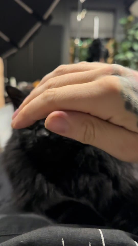 Post 6 by dave.dunsire on TikTok (video)