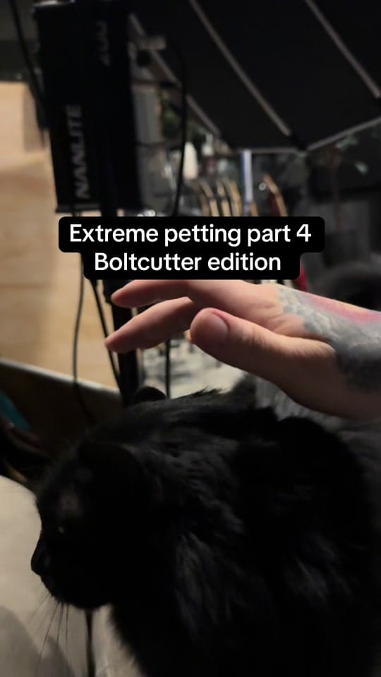 Post 2 by dave.dunsire on TikTok (video)