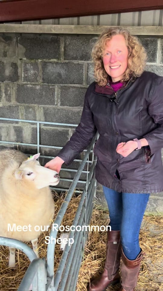 Post 8 by Crafts_of_ireland on TikTok (video)