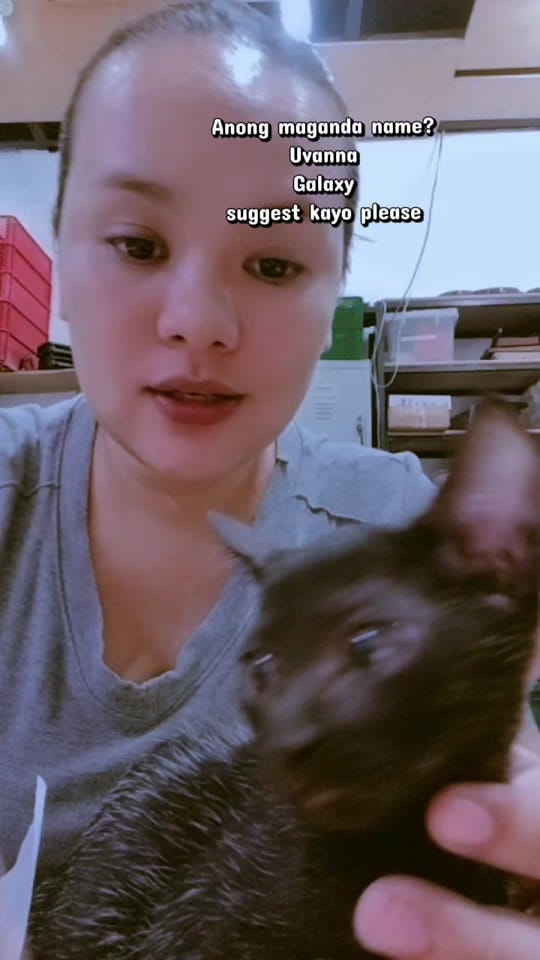 Post 5 by Cornix on TikTok (video)