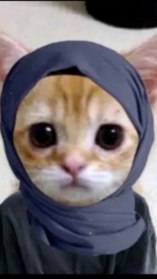 Post 10 by moraa❗🪐 on TikTok (video)