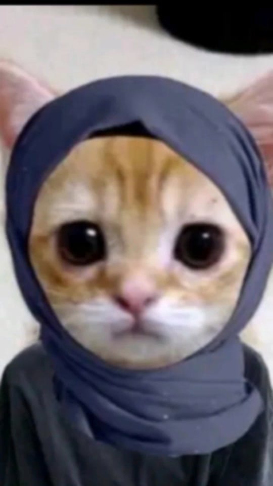 Post 8 by moraa❗🪐 on TikTok (video)