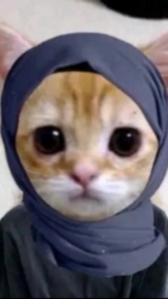 Post 9 by moraa❗🪐 on TikTok (video)