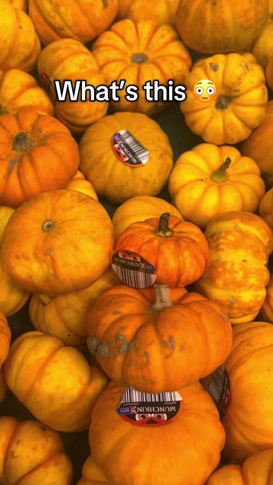 Post 4 by Captive Cakes on TikTok (video)